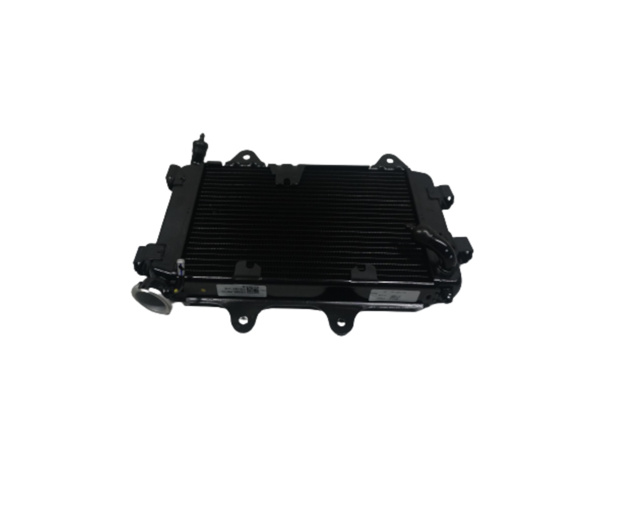 BAJAJ DOMİNAR D 250 RADYATÖR