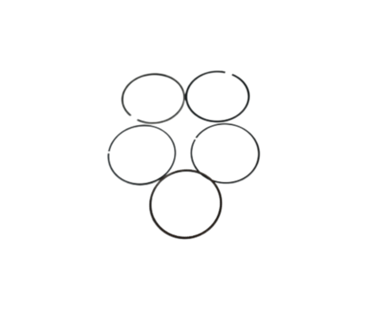 BAJAJ DOMİNAR D 250 SEGMAN TAKIMI