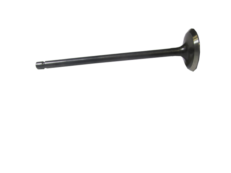 BAJAJ PULSAR RS200 UG EGZOZ SUBABI