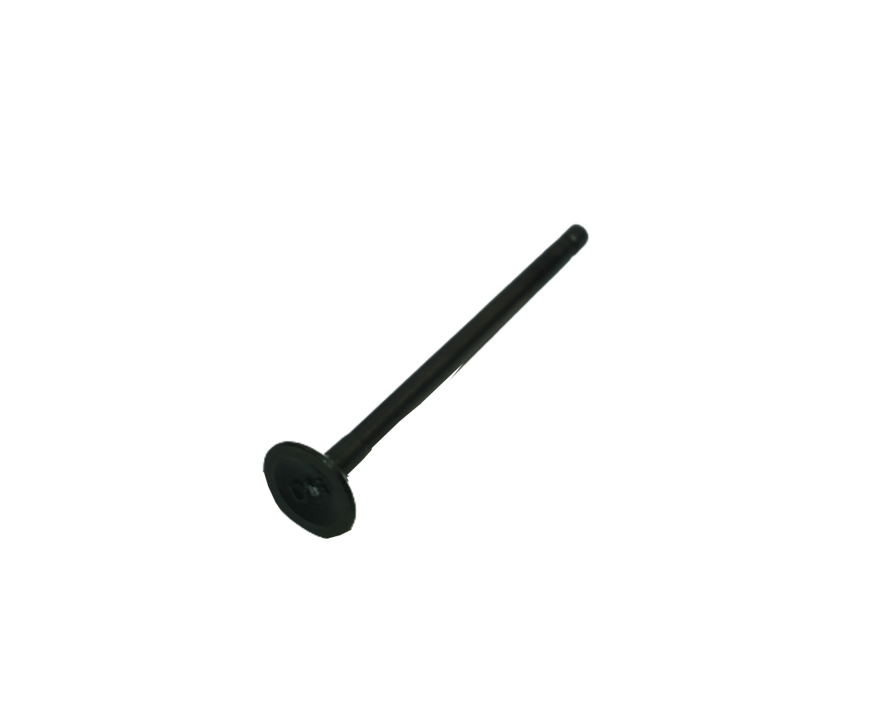 BAJAJ PULSAR NS125 ABS EGZOZ SUBABI