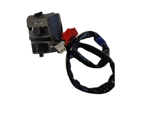 BAJAJ PULSAR RS200 KUMANDA PANELİ SOL (2020)