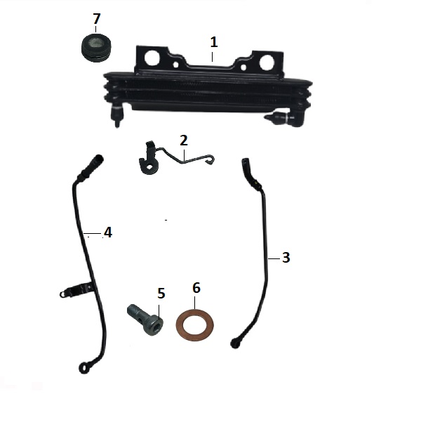 BAJAJ PULSAR N 160 UG YAĞ SOĞUTUCU PANEL BORU BAĞLANTI VİDASI M12X1,25 - 2